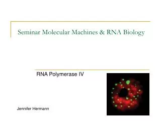 Seminar Molecular Machines &amp; RNA Biology