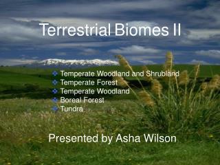 Terrestrial Biomes II