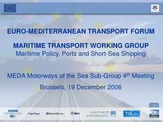 EURO-MEDITERRANEAN TRANSPORT FORUM MARITIME TRANSPORT WORKING GROUP Maritime Policy, Ports and Short-Sea Shipping