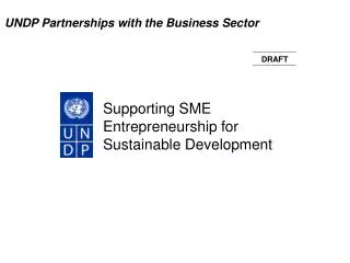 Supporting SME Entrepreneurship for Sustainable Development