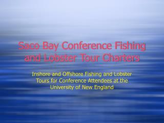 Saco Bay Conference Fishing and Lobster Tour Charters
