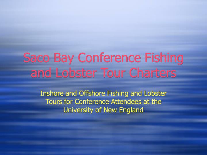 saco bay conference fishing and lobster tour charters