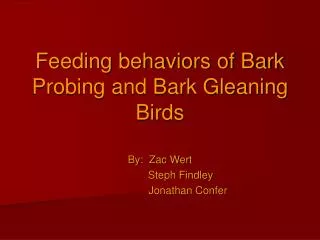 Feeding behaviors of Bark Probing and Bark Gleaning Birds