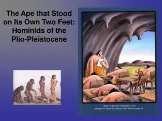 The Ape that Stood on Its Own Two Feet: Hominids of the Plio-Pleistocene