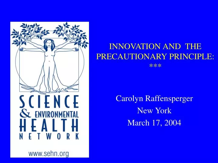 innovation and the precautionary principle