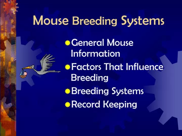 mouse breeding systems