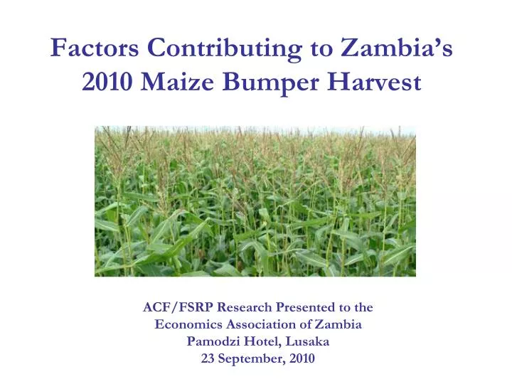 factors contributing to zambia s 2010 maize bumper harvest