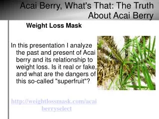Acai Berry, What's That: The Truth About Acai Berry