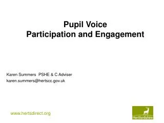 Pupil Voice Participation and Engagement
