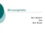 Microorganisms - slide 1