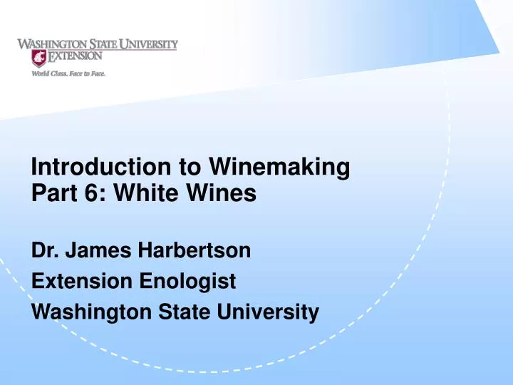 introduction to winemaking part 6 white wines