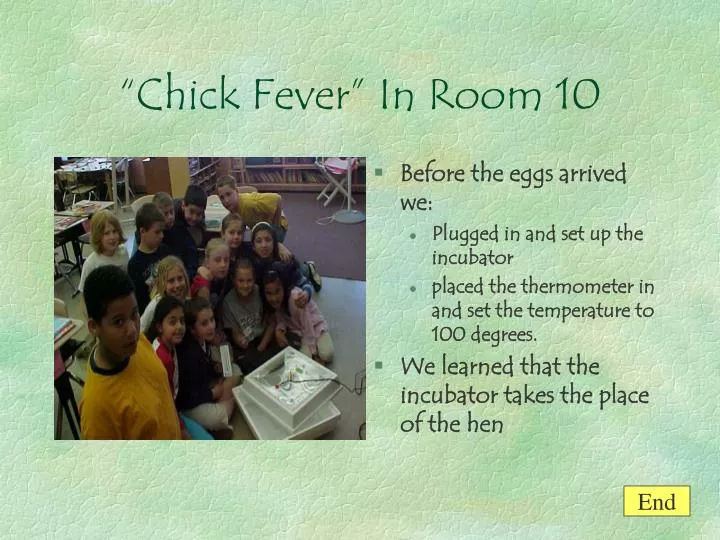 chick fever in room 10