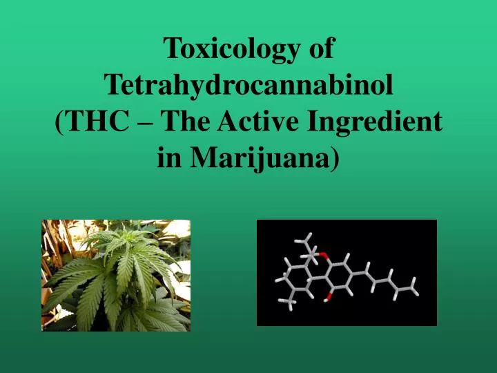 toxicology of tetrahydrocannabinol thc the active ingredient in marijuana