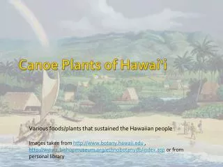 Canoe Plants of Hawai‘i