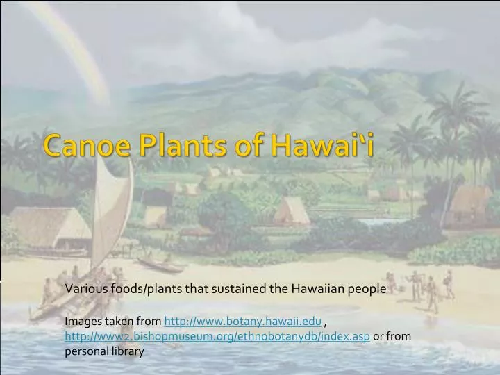 canoe plants of hawai i