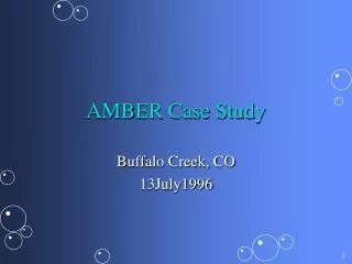 AMBER Case Study