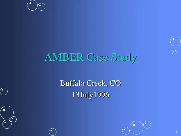 amber case study