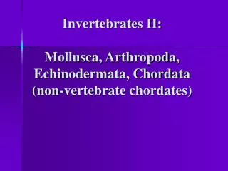 Invertebrates II: Mollusca, Arthropoda, Echinodermata, Chordata (non-vertebrate chordates)
