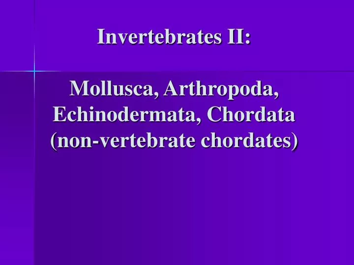 invertebrates ii mollusca arthropoda echinodermata chordata non vertebrate chordates