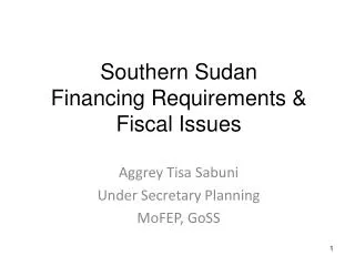 Southern Sudan Financing Requirements &amp; Fiscal Issues