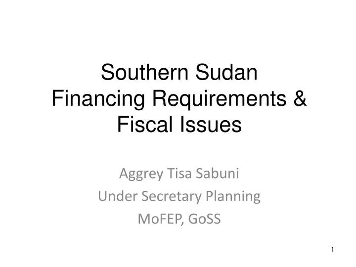 southern sudan financing requirements fiscal issues