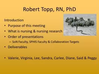 Robert Topp, RN, PhD