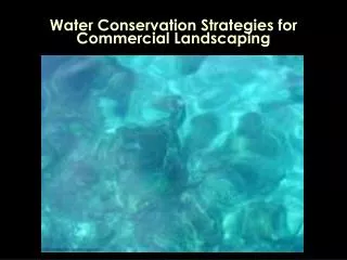 Water Conservation Strategies for Commercial Landscaping