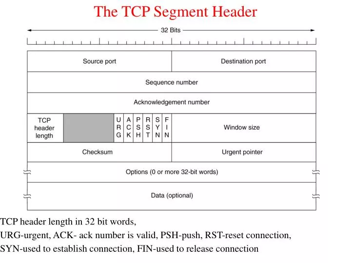 the tcp segment header