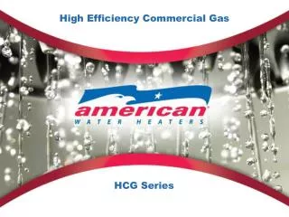 High Efficiency Commercial Gas