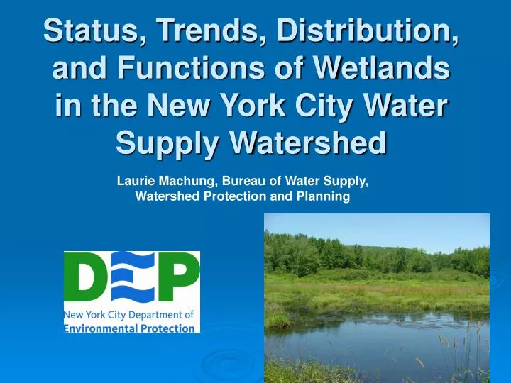 status trends distribution and functions of wetlands in the new york city water supply watershed