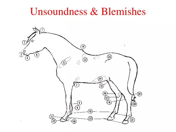 unsoundness blemishes
