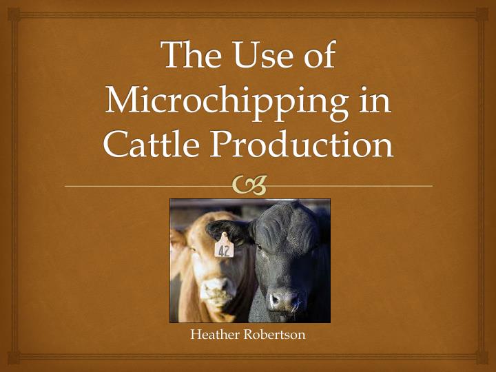 the use of microchipping in cattle production