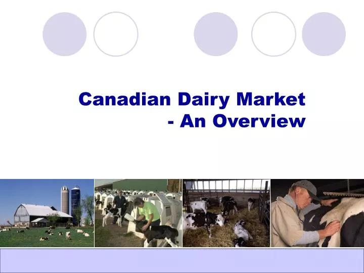 canadian dairy market an overview