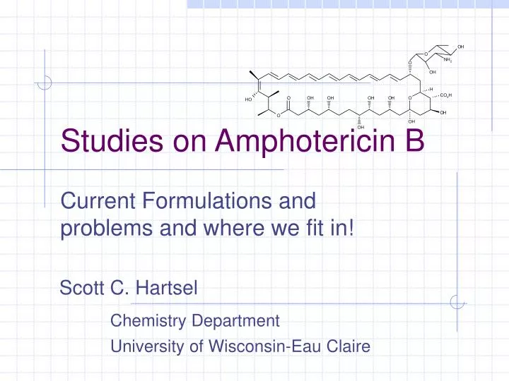 studies on amphotericin b