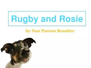 Rugby and Rosie