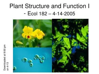 Plant Structure and Function I - E col 182 – 4-14-2005