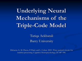 Underlying Neural Mechanisms of the Triple-Code Model