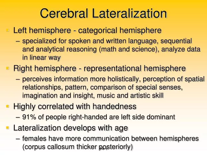 cerebral lateralization