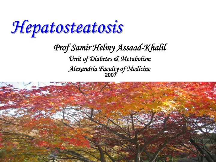 hepatosteatosis