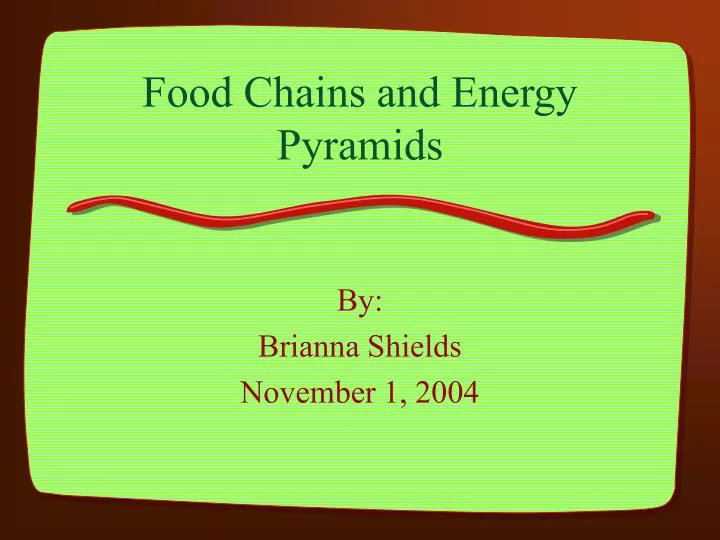 food chains and energy pyramids