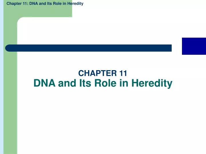 chapter 11 dna and its role in heredity