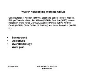 WWRP Nowcasting Working Group