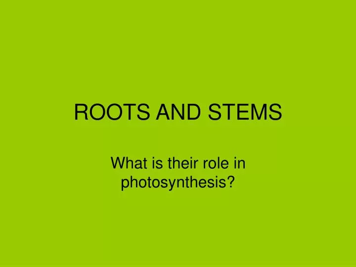 roots and stems