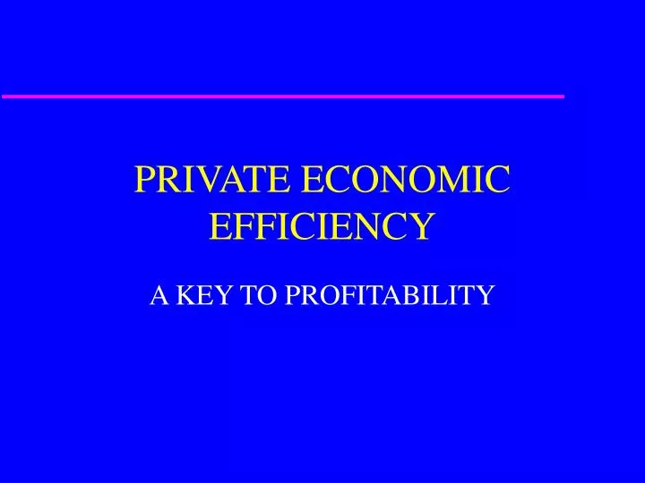 private economic efficiency