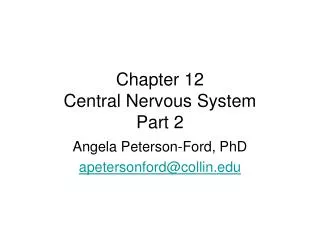 Chapter 12 Central Nervous System Part 2
