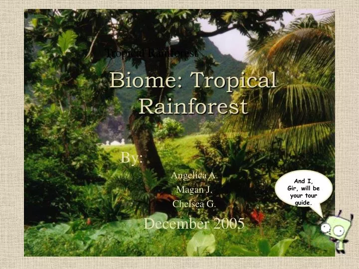 biome tropical rainforest