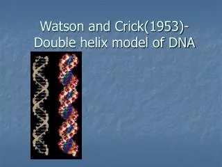 watson and crick 1953 double helix model of dna
