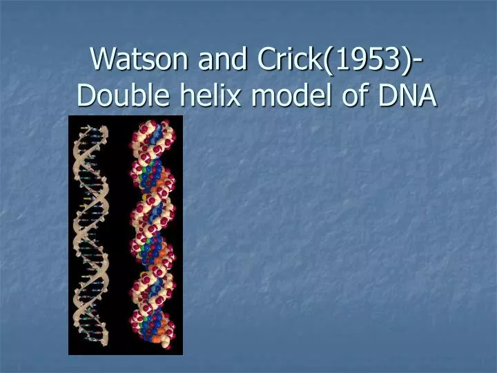 watson and crick 1953 double helix model of dna