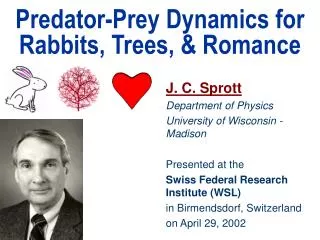 Predator-Prey Dynamics for Rabbits, Trees, &amp; Romance