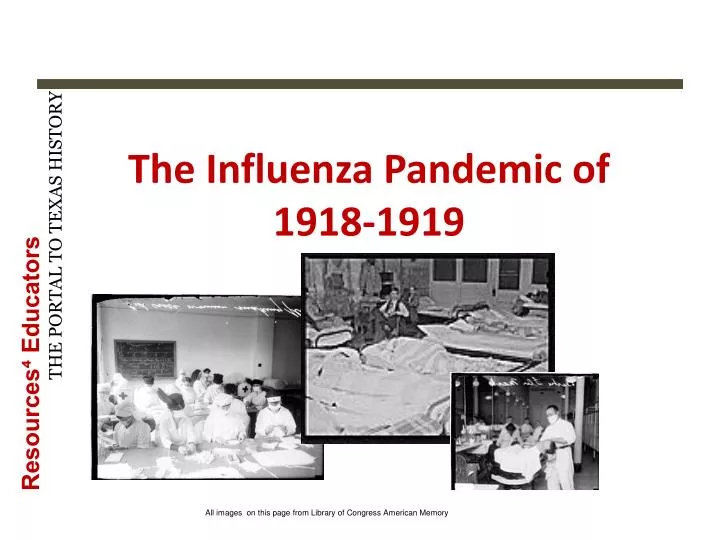 the influenza pandemic of 1918 1919